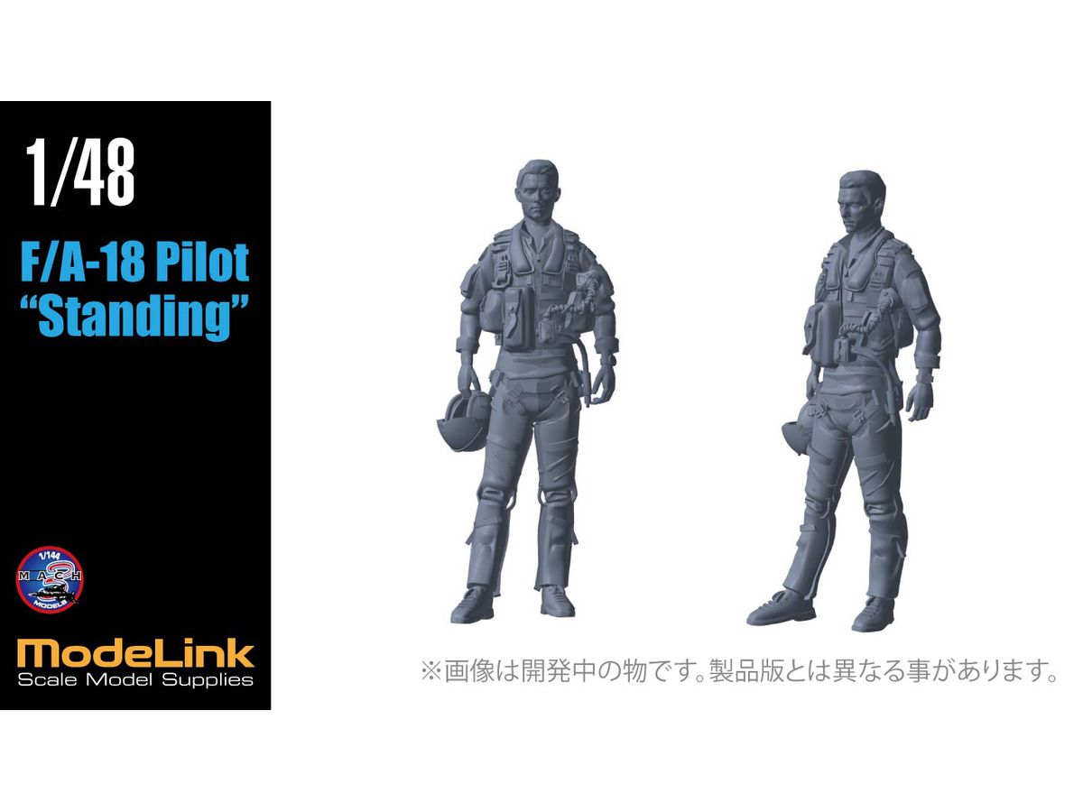 F/A-18 Pilot Standing