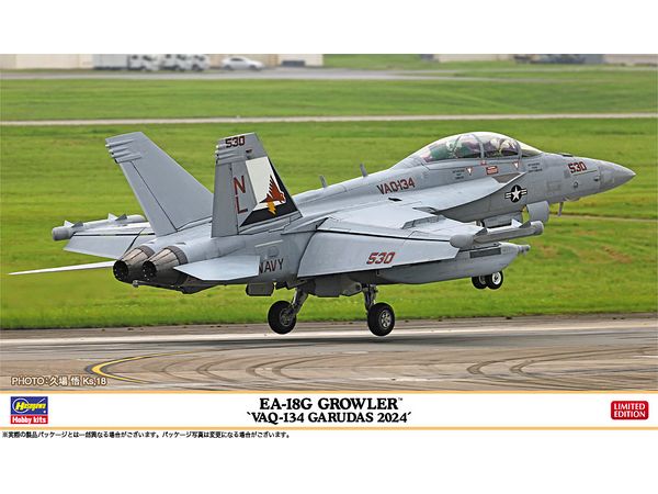 EA-18G GROWLER VAQ-134 GARUDAS 2024