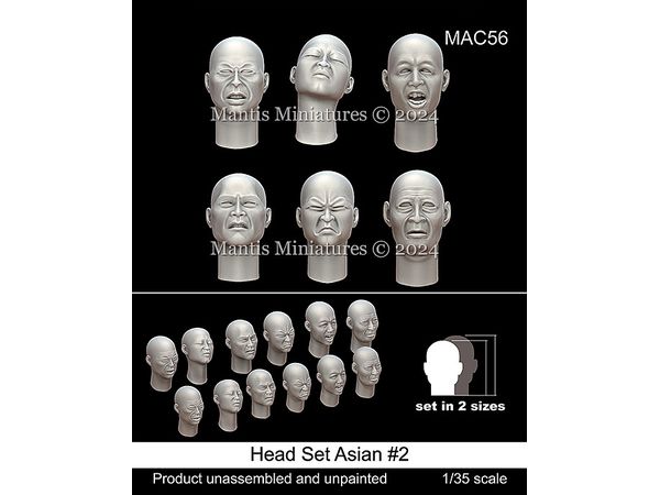 Head Set Asian #2