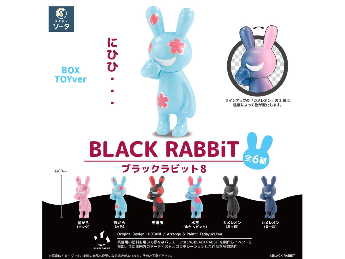 BLACK RABBiT8 1Box 6pcs