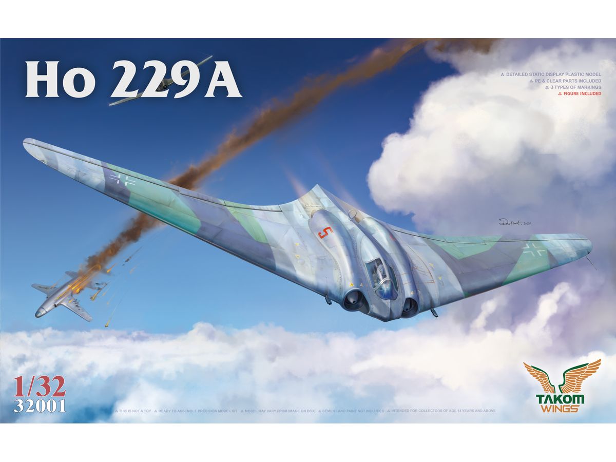Ho 229A