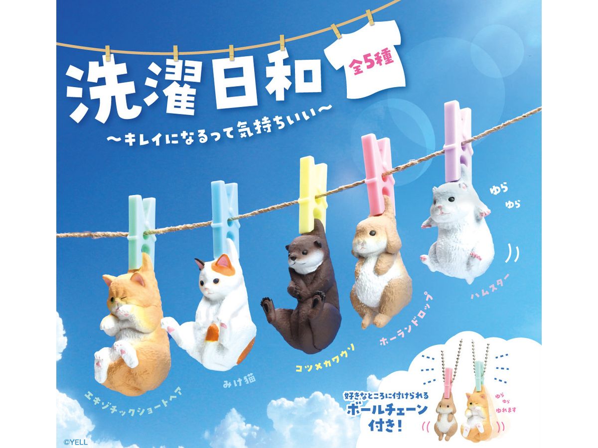 Laundry Weather -It feels good to be beautiful-: 1Box (10pcs)