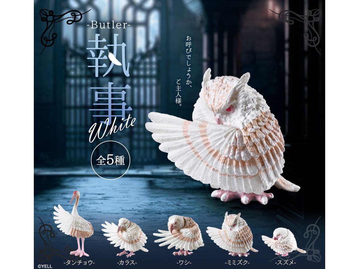 -Butler- White 1Box 10pcs