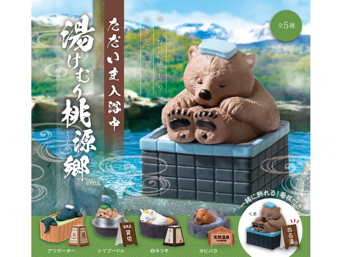 Currently Taking A Bath -Steam Togenkyo- 1Box 10pcs